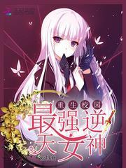 叶枣四爷小说封面