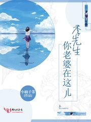 阮雾陆离澈封面