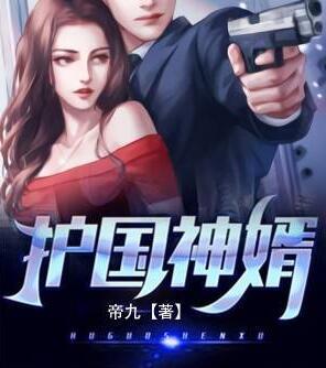 护国神婿封面