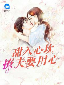 甜入心坎：撩夫要用心封面