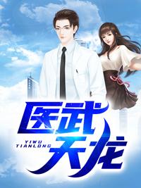 医武天龙封面