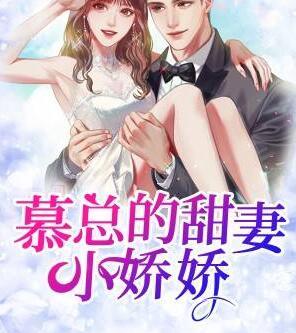 慕总的甜妻小娇娇沐晚晚封面