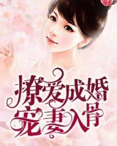 撩爱成婚宠妻入骨第五月免费阅读封面