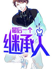 最后一个继承人封面