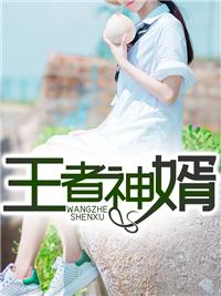 王者神婿封面