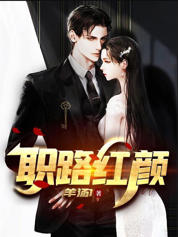 职路红颜封面
