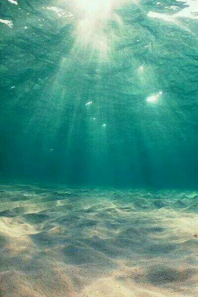 玄学大佬下山,团宠废柴真千金小说封面