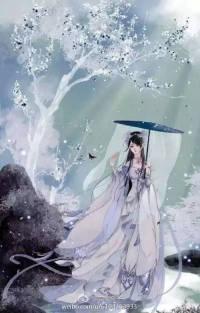 苏璧禾冉青铉封面