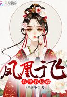 凤凰于飞:公主不远嫁封面
