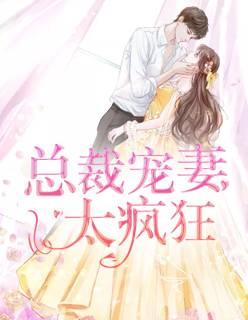 总裁宠妻太疯狂封面