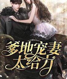 姜笙司夜爵小说免费封面