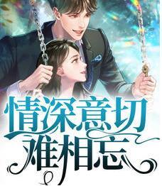情深意切难相忘封面