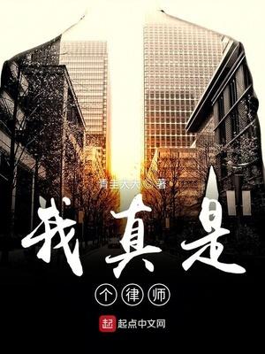 我真是个律师封面
